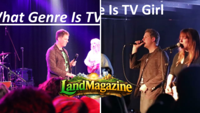 What Genre Is TV Girl